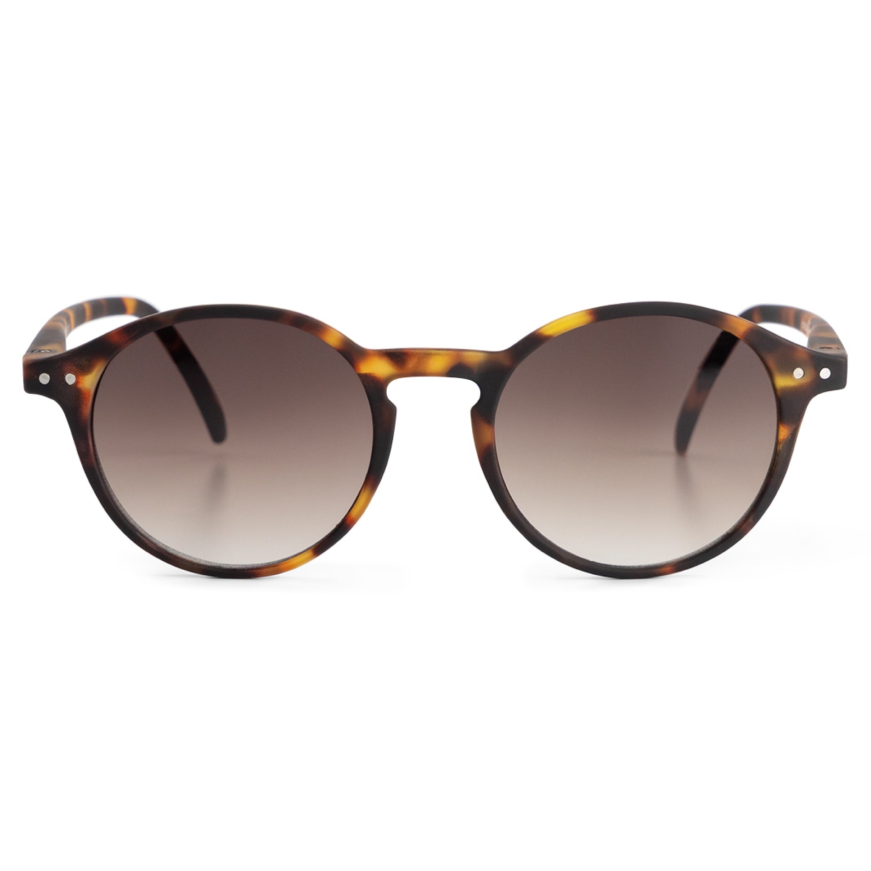 FAUST SUN | Turtle