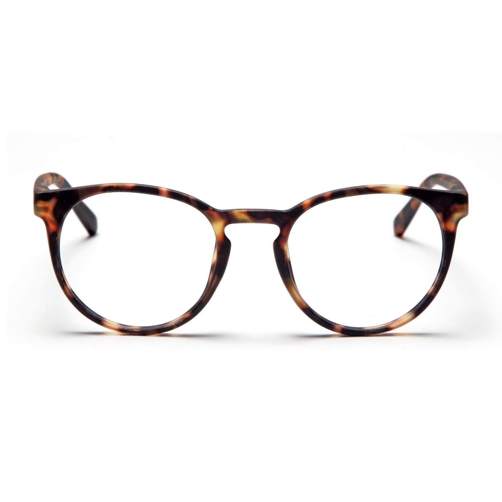 PAPILLON | Turtle