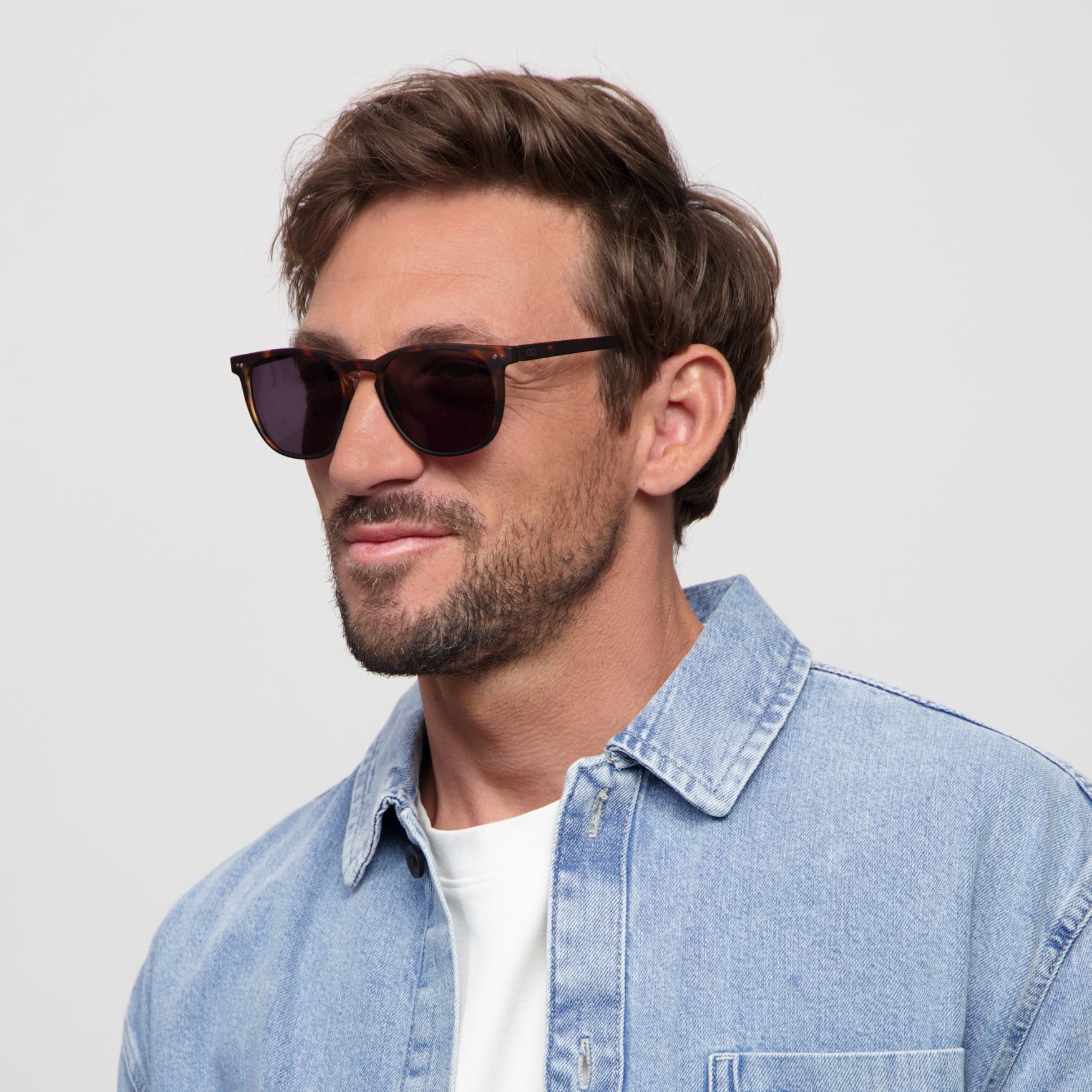 THE GEORGE SUN | Turtle