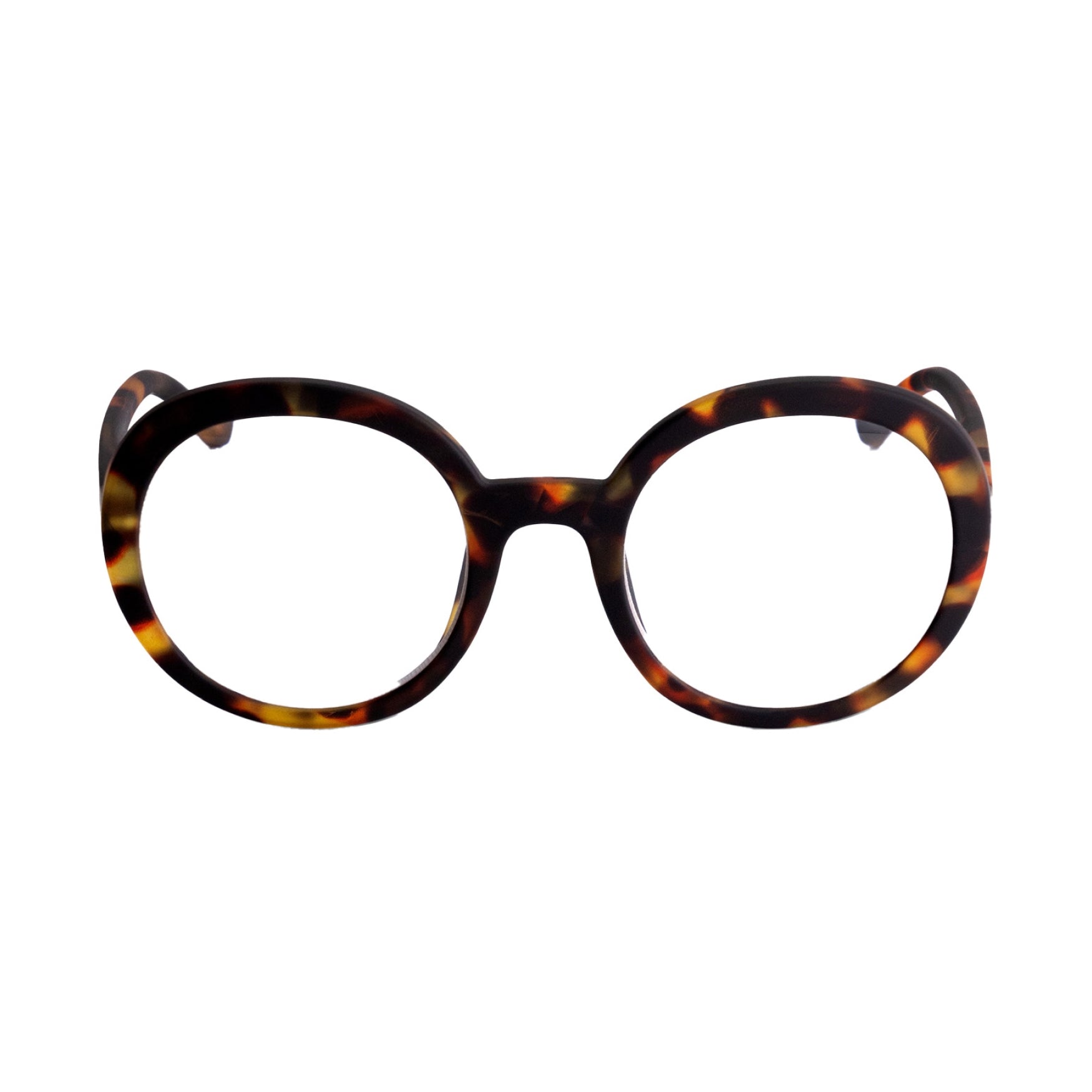 JANE | Turtle