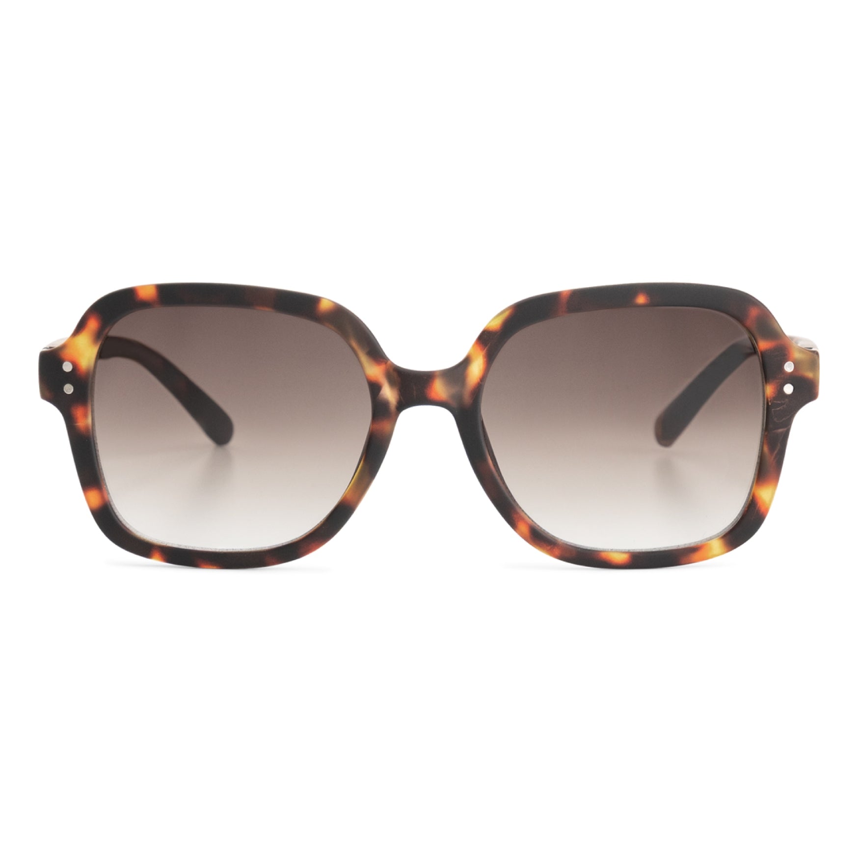 COLETTE SUN | Turtle