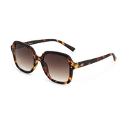 COLETTE SUN | Turtle