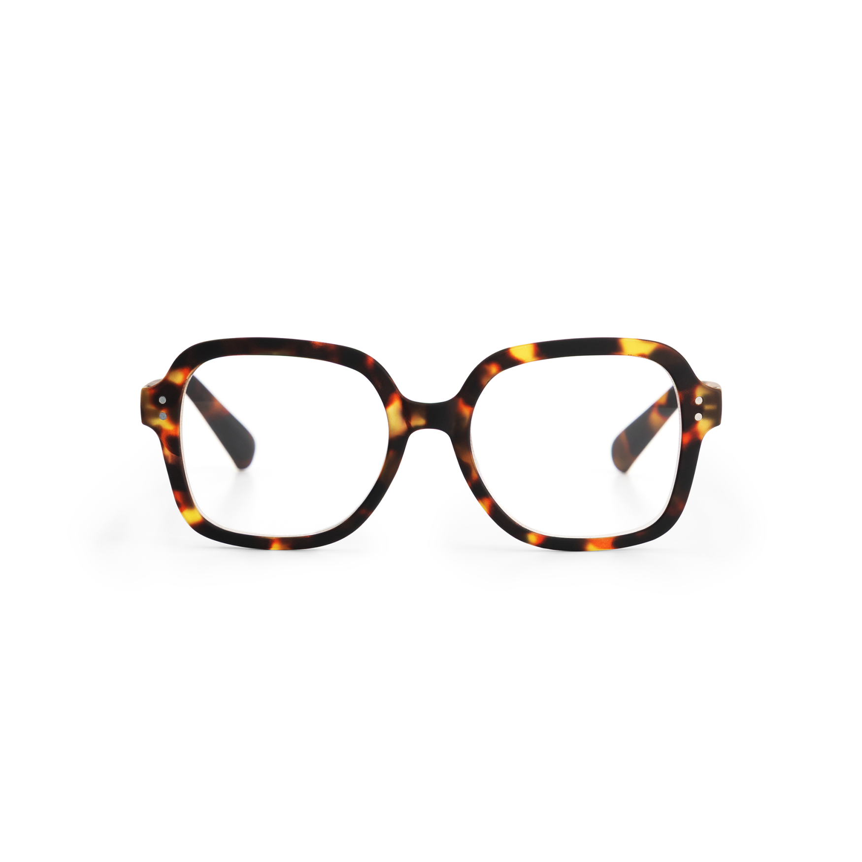 COLETTE | Turtle