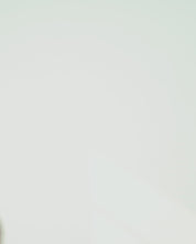 MOBY CLIP-ON | Olive Green