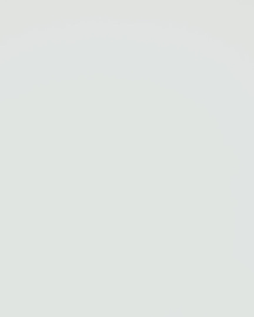 MOBY CLIP-ON | Turtle