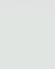 MOBY CLIP-ON | Turtle